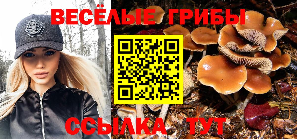 Галлюциногенные грибы мицелий  Вход с VPN  Саратов 