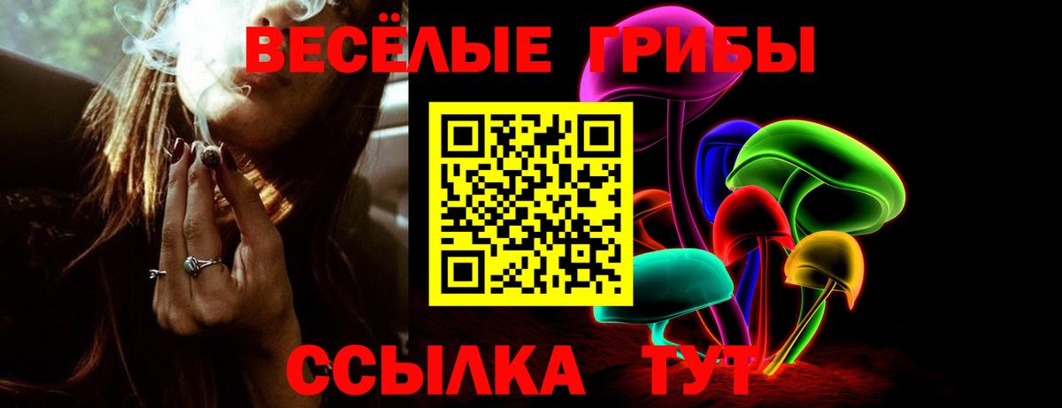 Псилоцибиновые грибы ЛСД Саратов